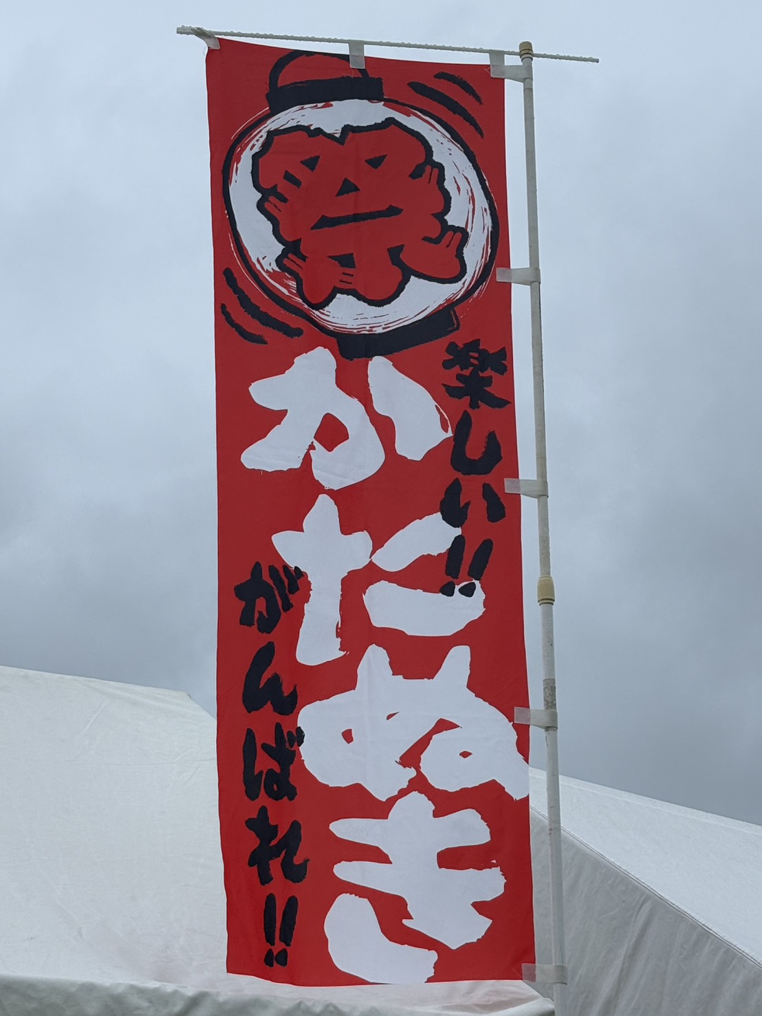 https://mizushimagroup.com
